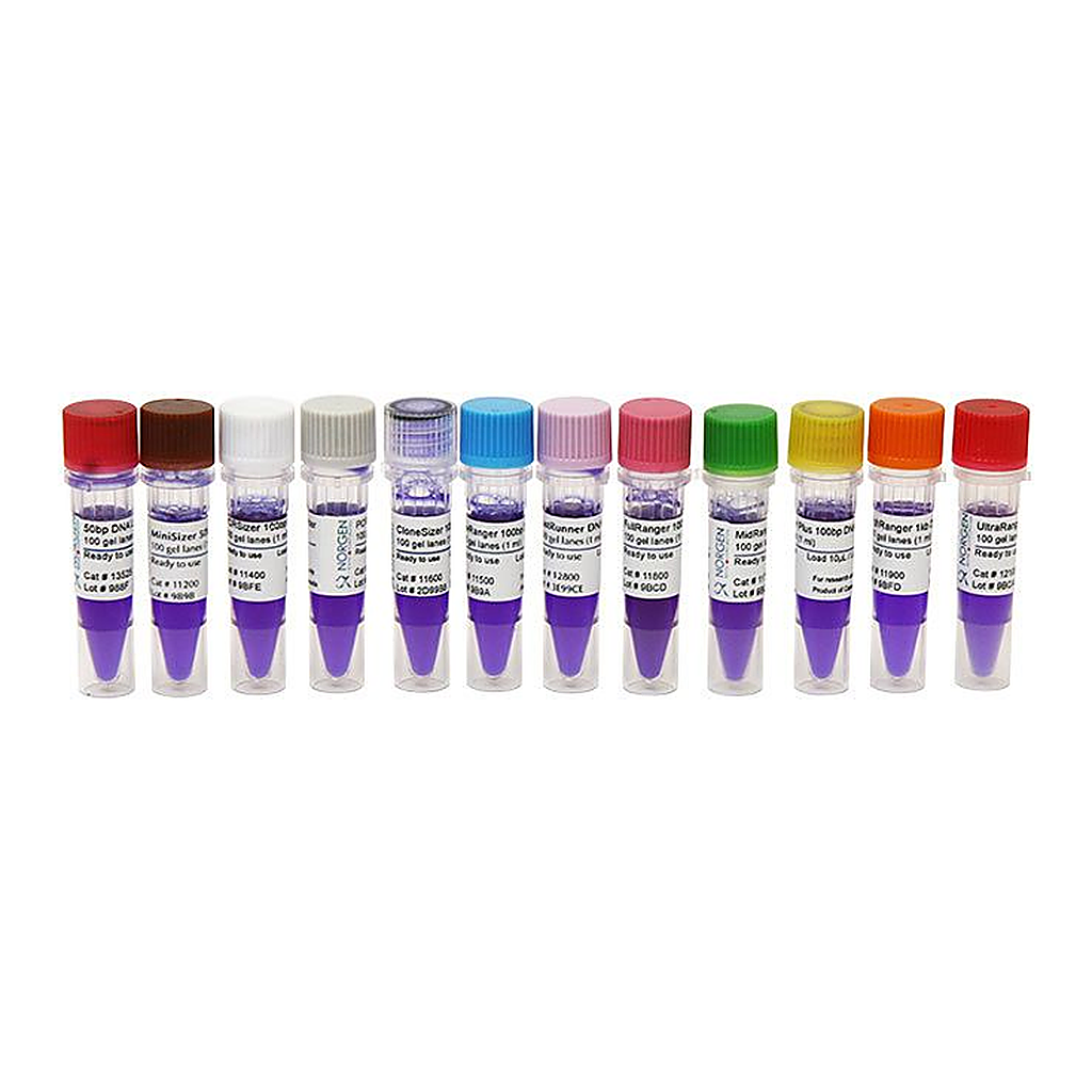 Norgen MidRanger 1 kb DNA Ladder