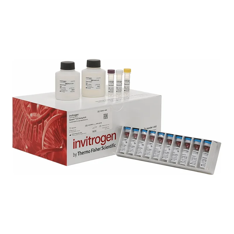 Thermo Fisher Scientific Human IL-6 Matched Antibody Pair