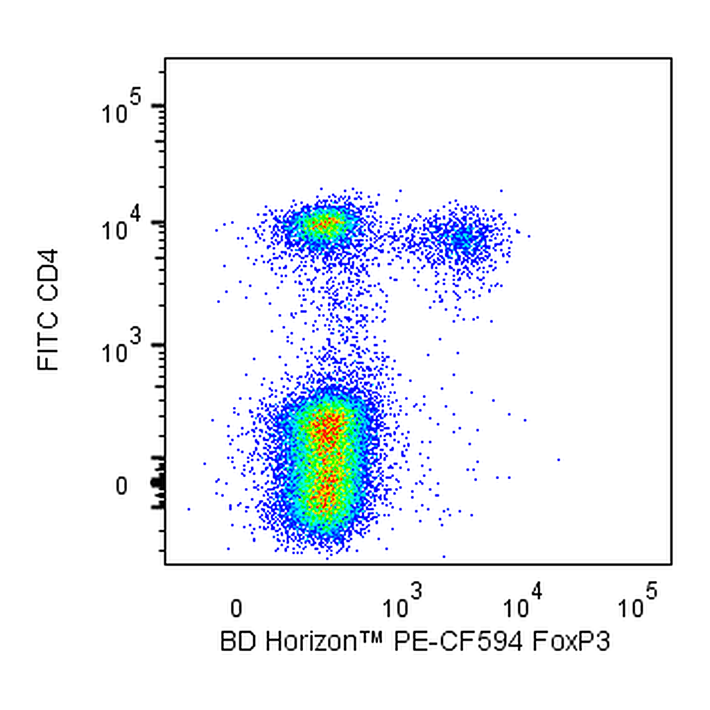 BD PE-CF594 Rat Anti-Mouse FoxP3