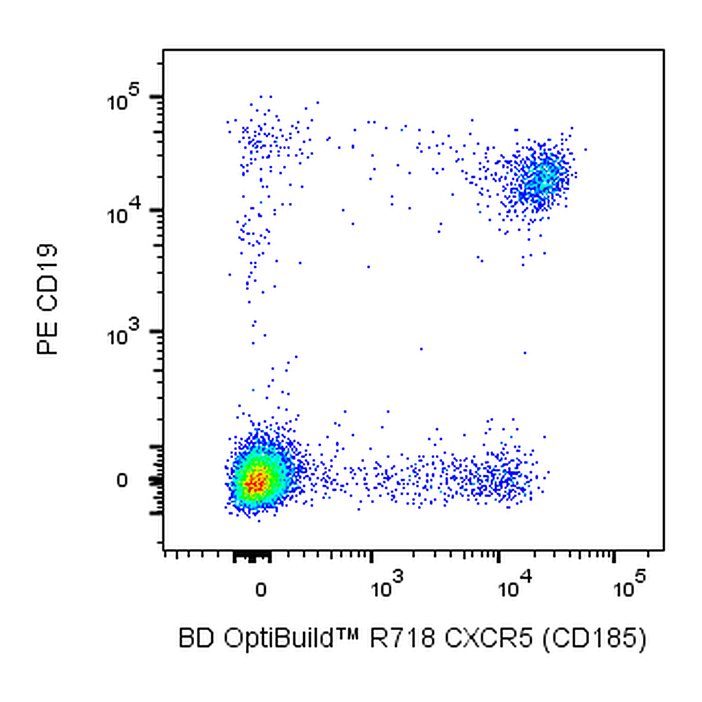 BD R718 Rat Anti-Human CXCR5 (CD185)