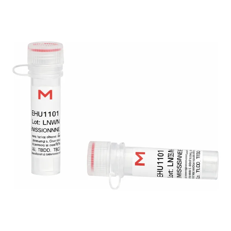 Merck ESIRNA HUMAN WDR77