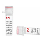 Merck MISSION(R) esiRNA