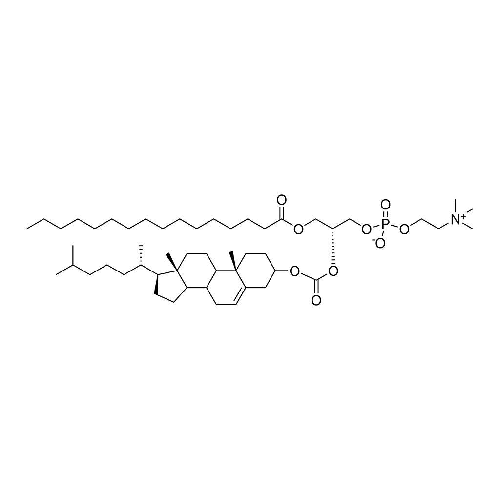 Merck PChcPC