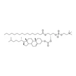 Merck PChcPC