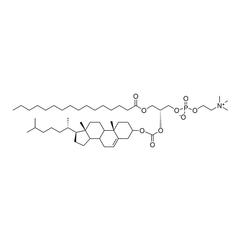 Merck PChcPC