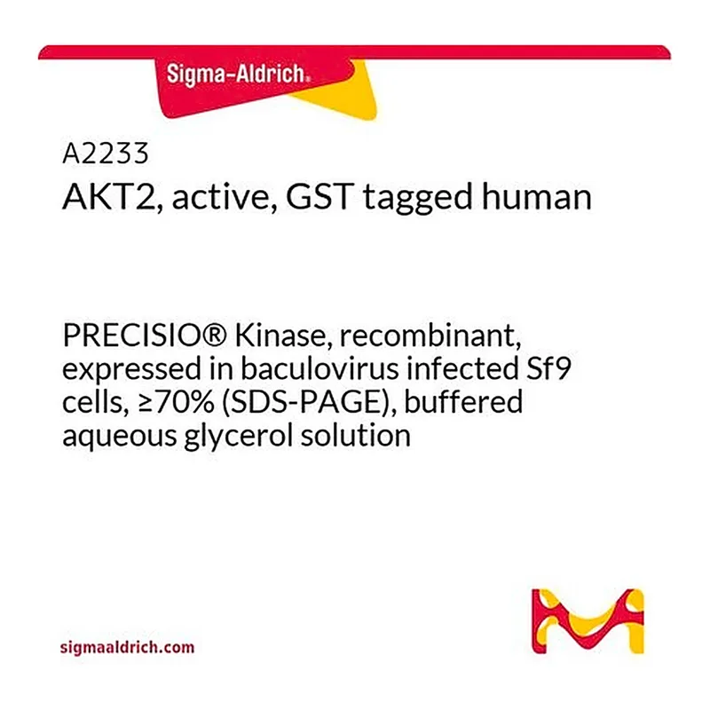Merck AKT2, active, GST tagged human