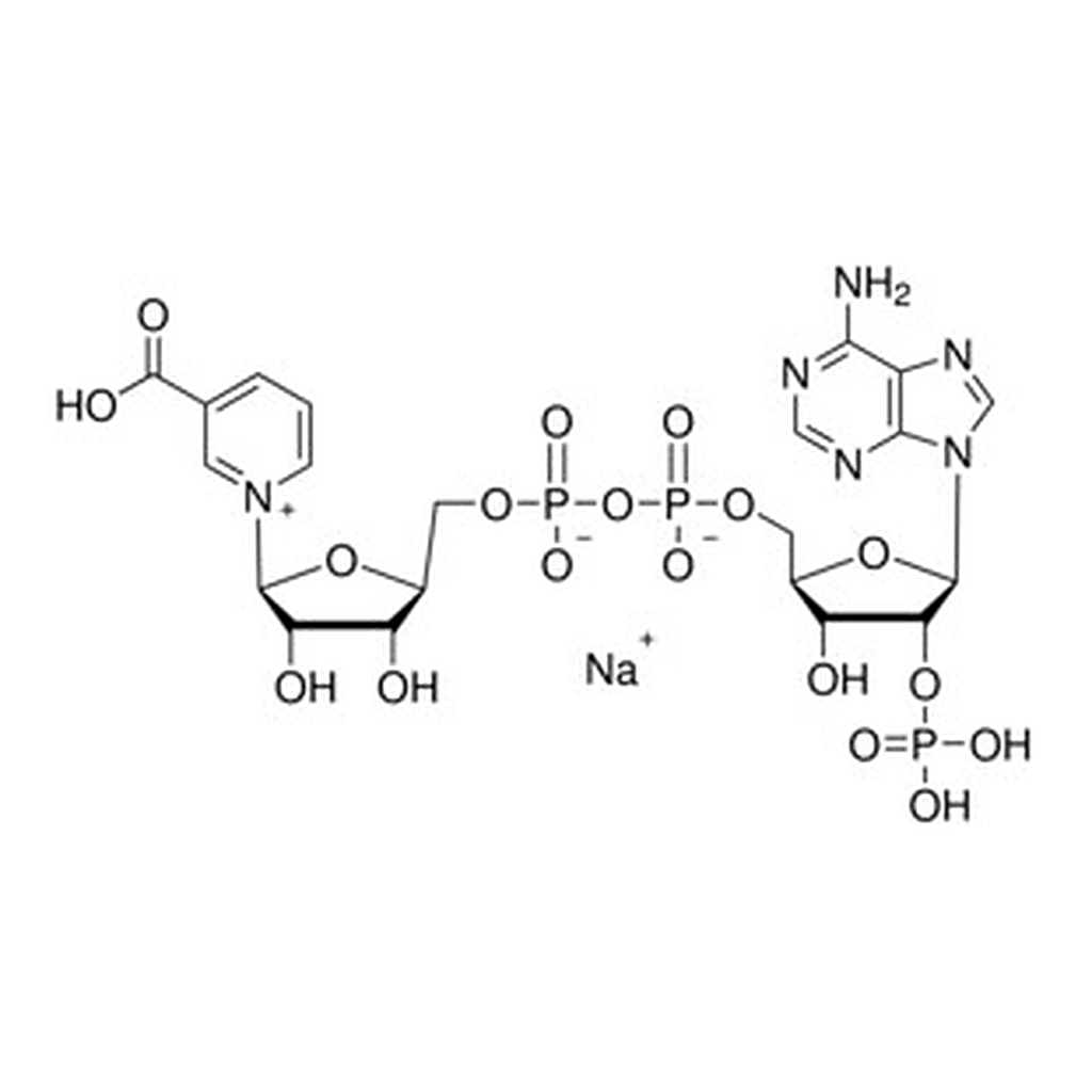 Merck NICOTINIC ACID ADENINE DINUCLEOTIDE