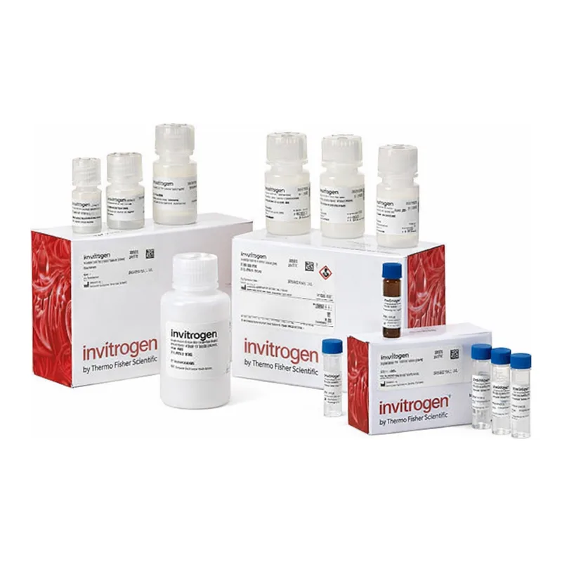 Thermo Fisher Scientific ViewRNA ISH Cell Assay Kit