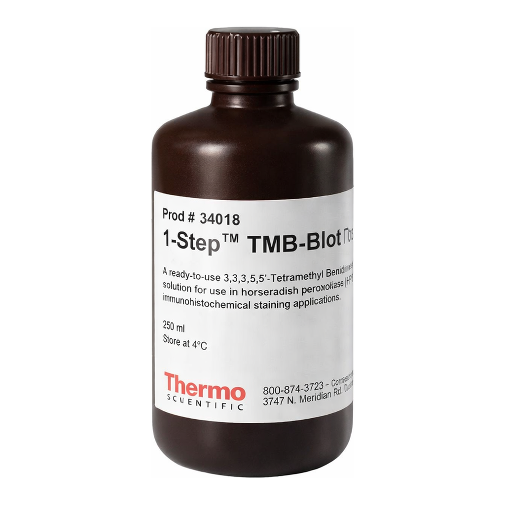 Thermo Fisher Scientific 1-Step TMB-Blotting Substrate Solution