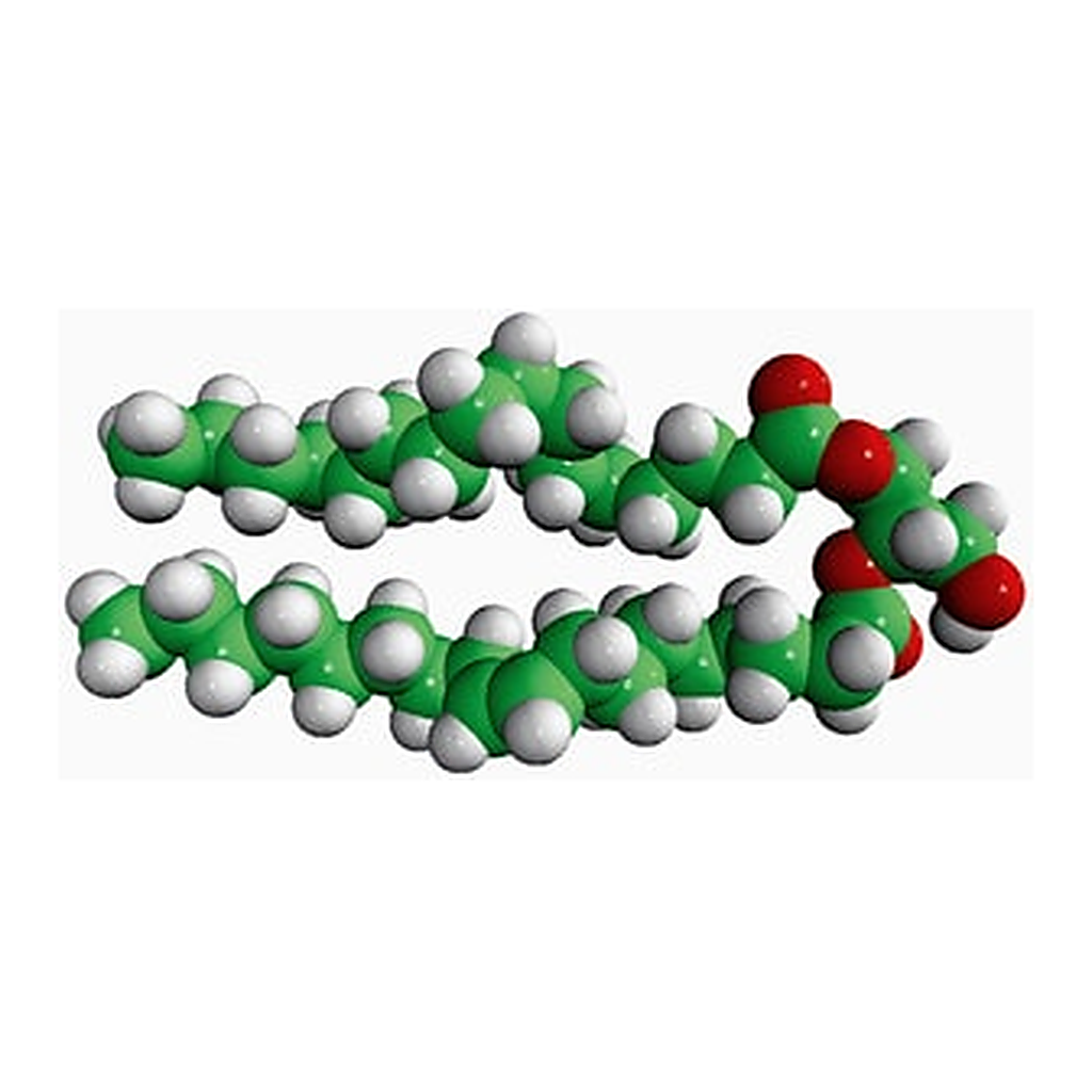 Merck 16:0-18:1 DG