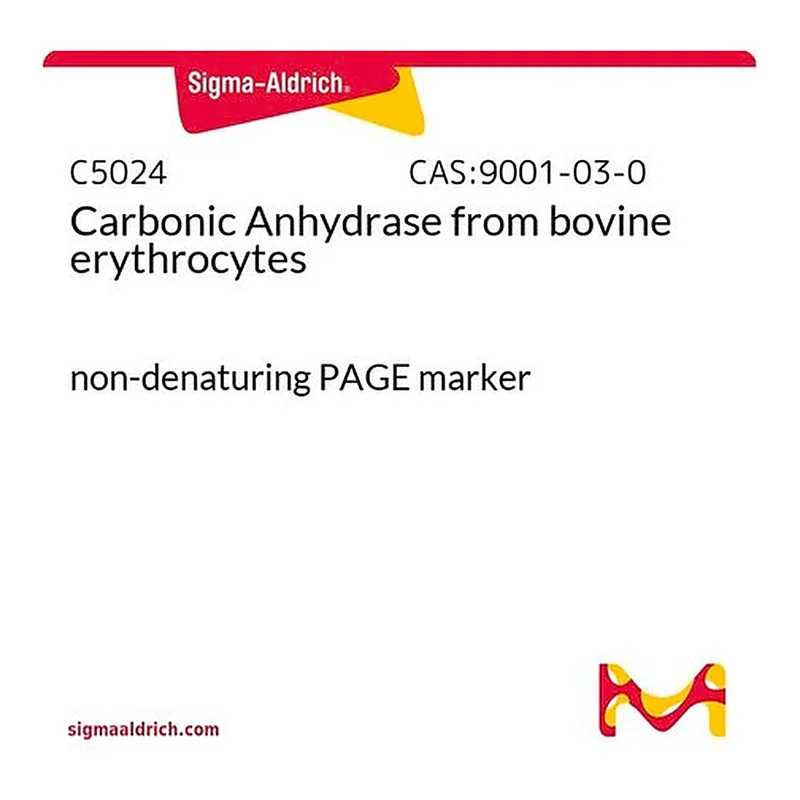 Merck Carbonic Anhydrase from bovine erythrocytes