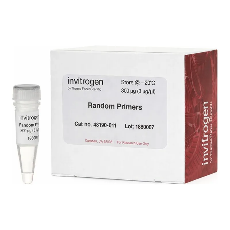 Thermo Fisher Scientific Random Primers