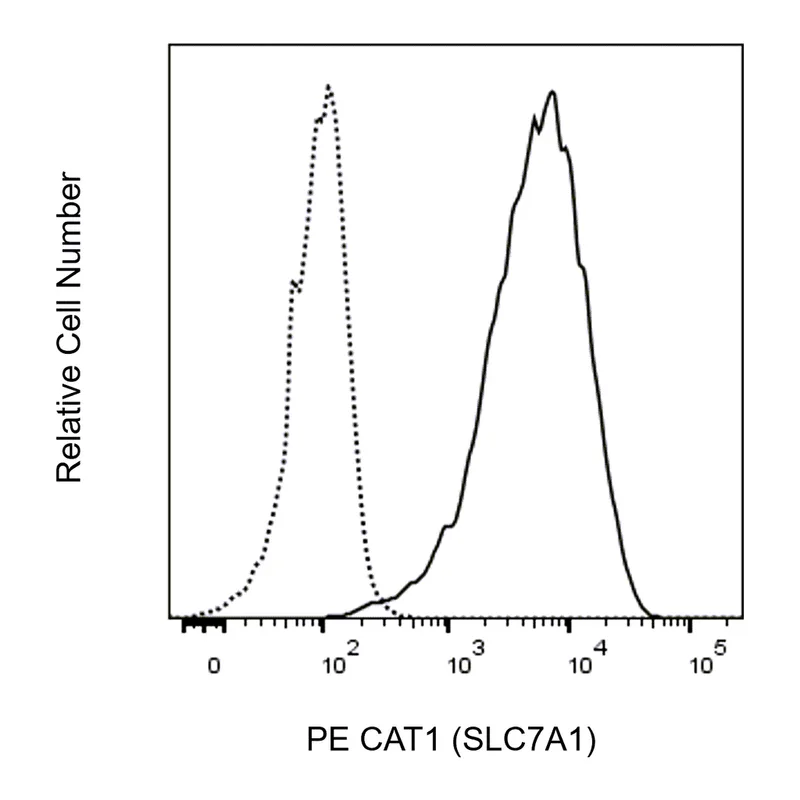 BD PE Rat Anti-Human CAT1 (SLC7A1)