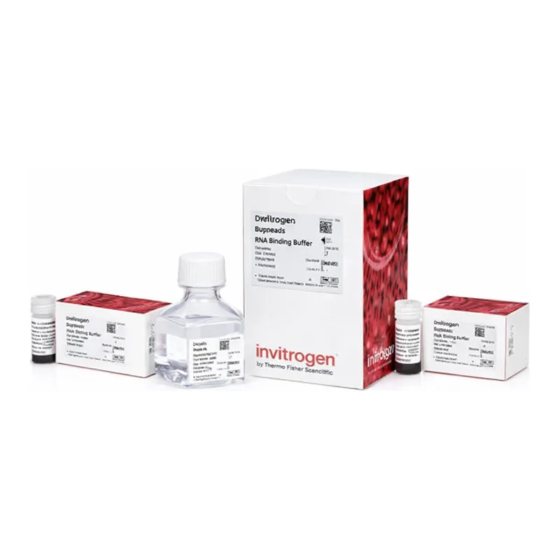 Thermo Fisher Scientific Dynabeads In Vitro Transcription and RNA Purification Kit, 2 mL