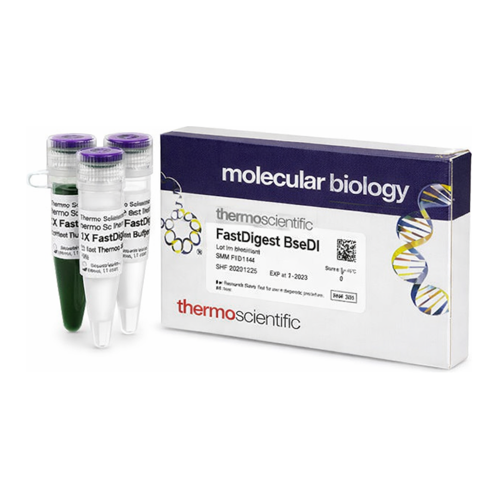 Thermo Fisher Scientific FastDigest BseDI