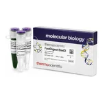 Thermo Fisher Scientific FastDigest BseDI