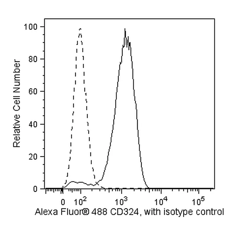 BD Alexa Fluor® 488 Mouse Anti-Human CD324 (E-Cadherin)