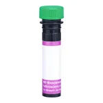 BD BV510 Mouse Anti-Human BLTR-1 (Leukotriene B4 Receptor)
