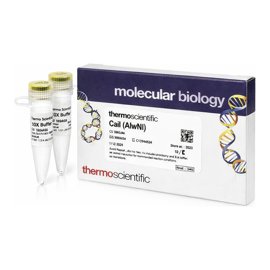 Thermo Fisher Scientific CaiI (AlwNI) (10 U/&mu;L)