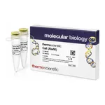 Thermo Fisher Scientific CaiI (AlwNI) (10 U/μL)