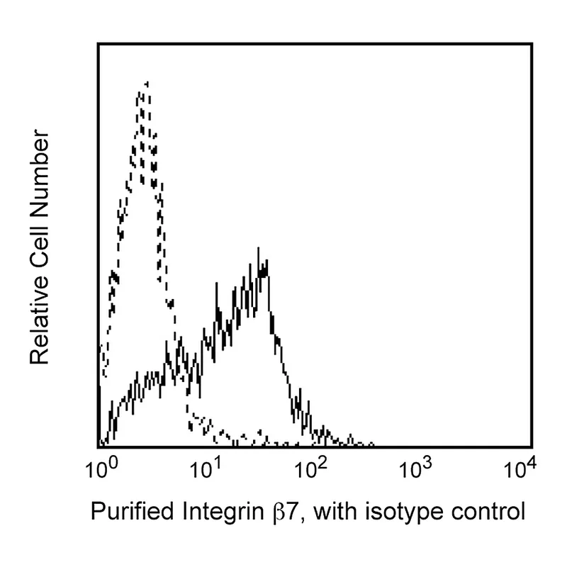 BD Purified Rat Anti-Integrin β7