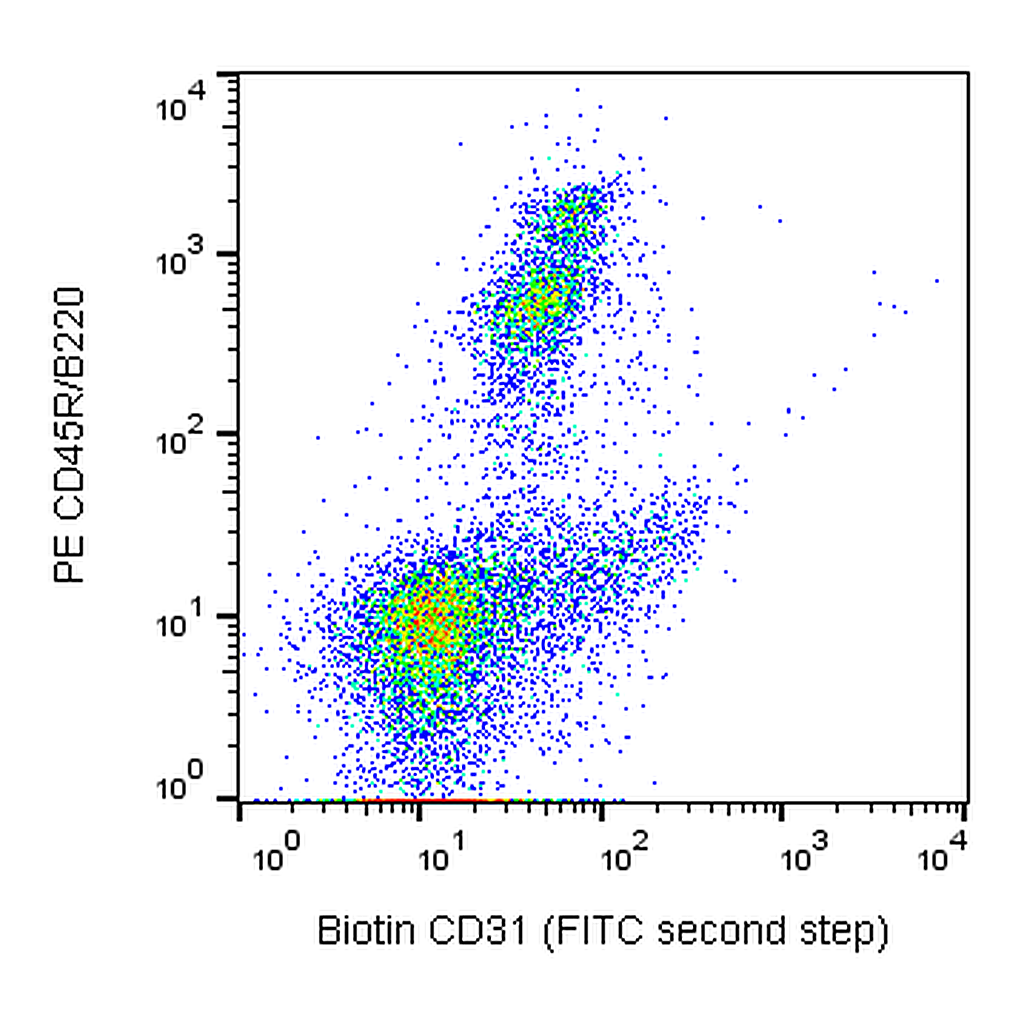 BD Biotin Rat Anti-Mouse CD31