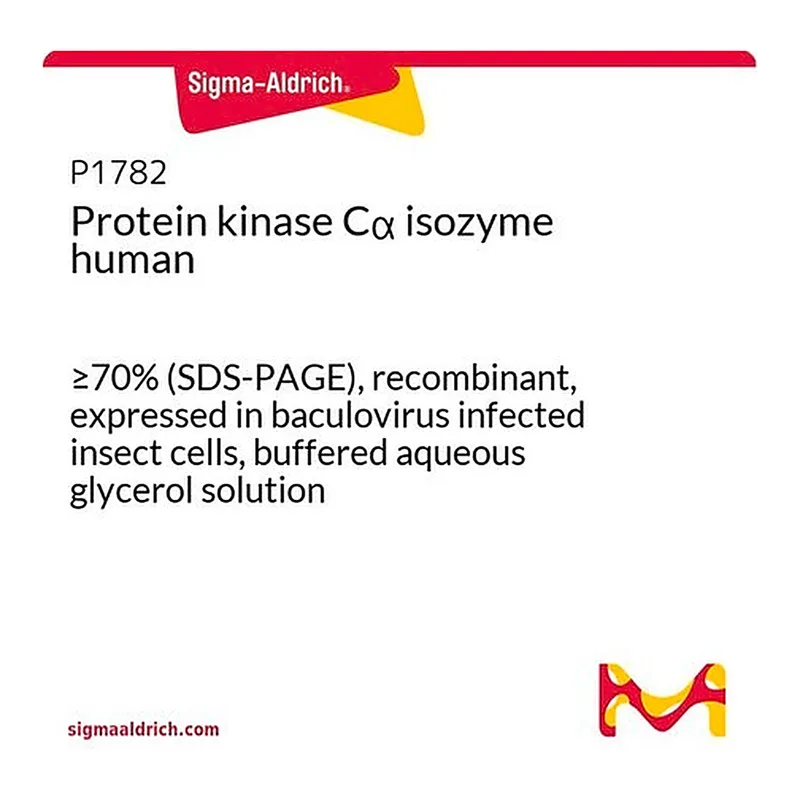 Merck Protein kinase Calpha isozyme human