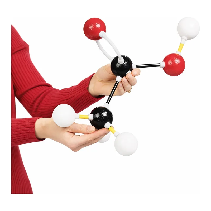 Merck Giant-size molecular model kit