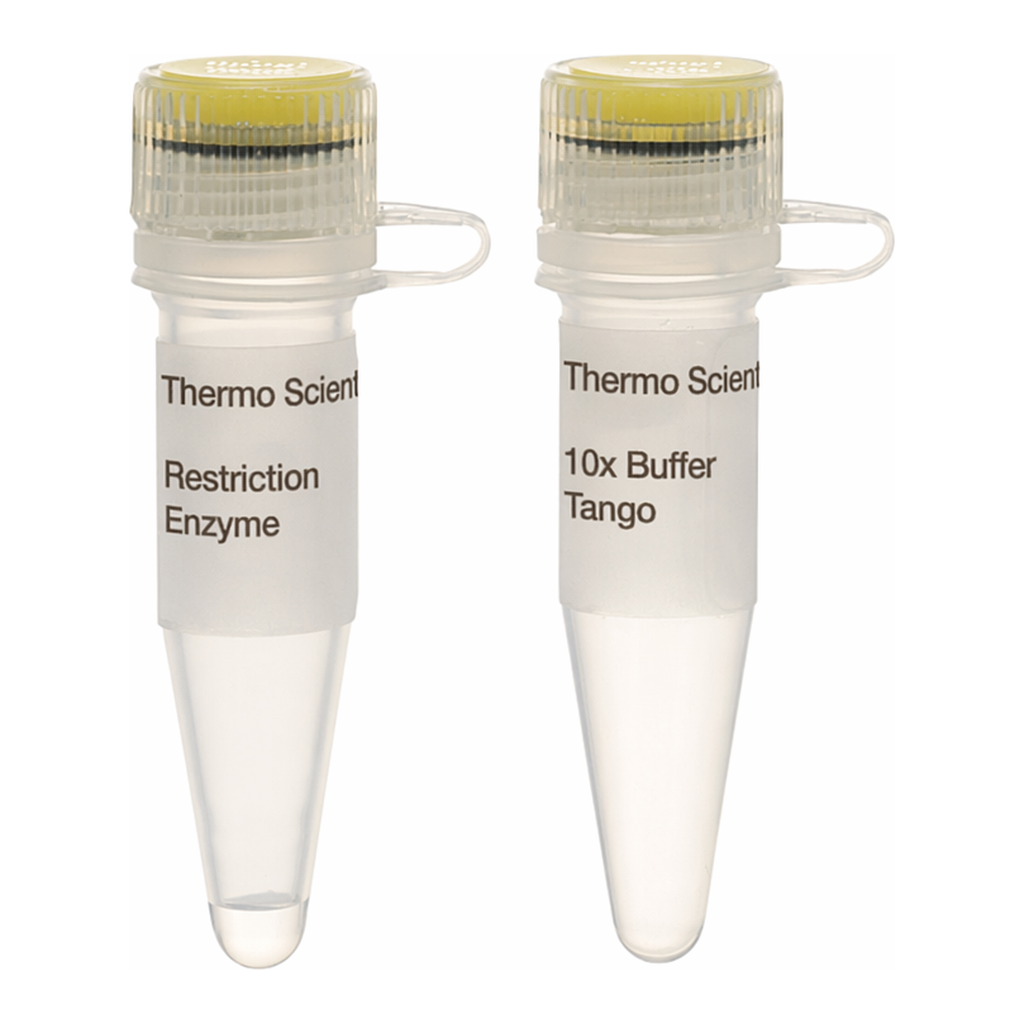 Thermo Fisher Scientific EcoO109I (DraII) (10 U/&mu;L)