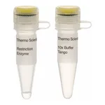 Thermo Fisher Scientific EcoO109I (DraII) (10 U/μL)
