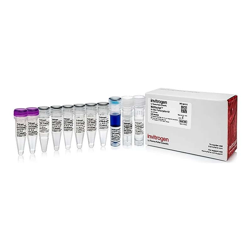 Thermo Fisher Scientific MAXIscript T7 Transcription Kit, 30 reactions
