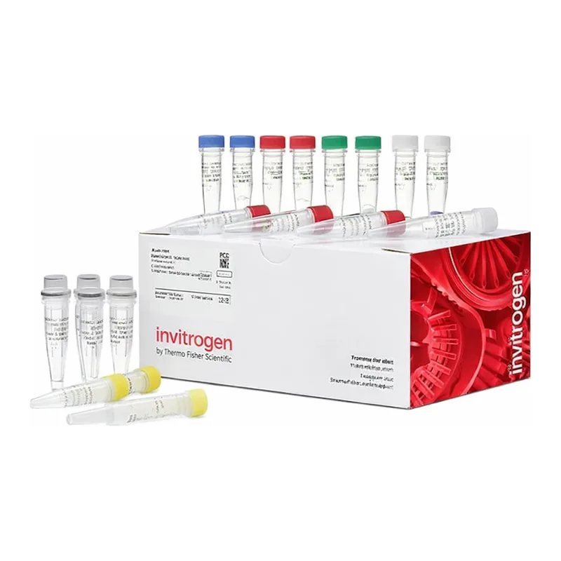 Thermo Fisher Scientific FirstChoice RLM-RACE Kit, 1 Kit