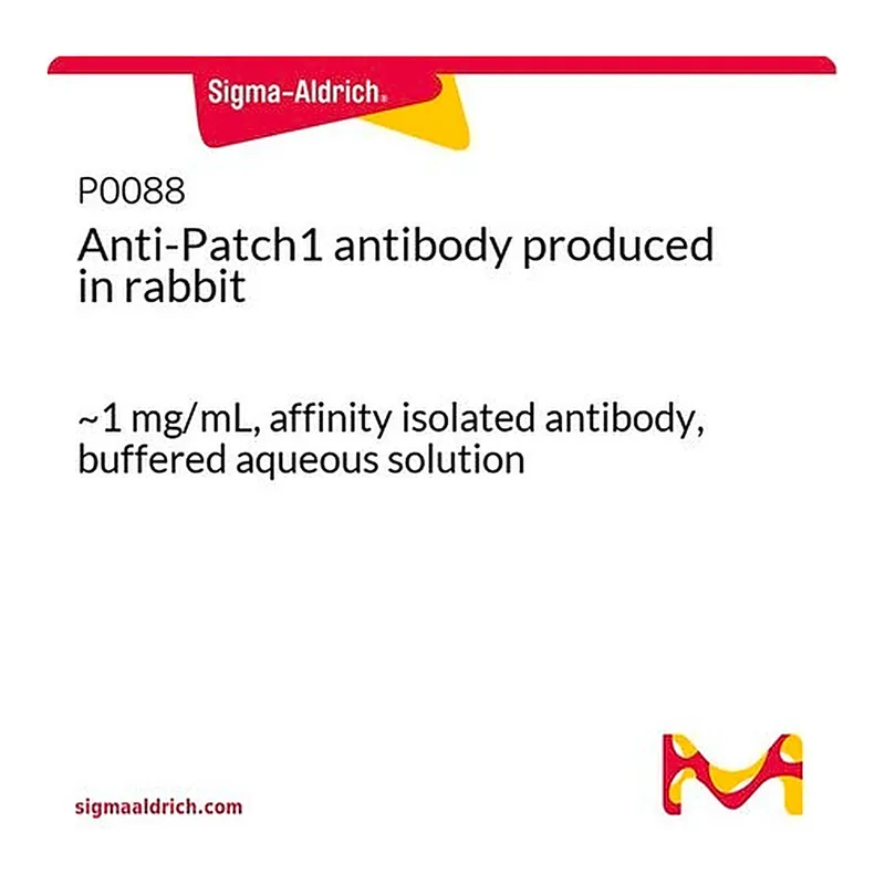 Merck Anti-Patch1 antibody produced in rabbit