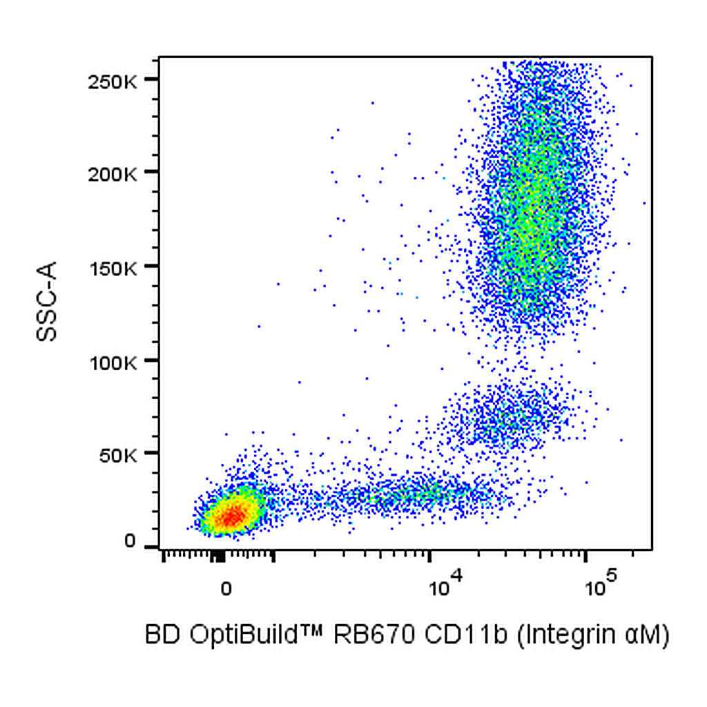 BD RB670 Mouse Anti-Human CD11b (Integrin αM)