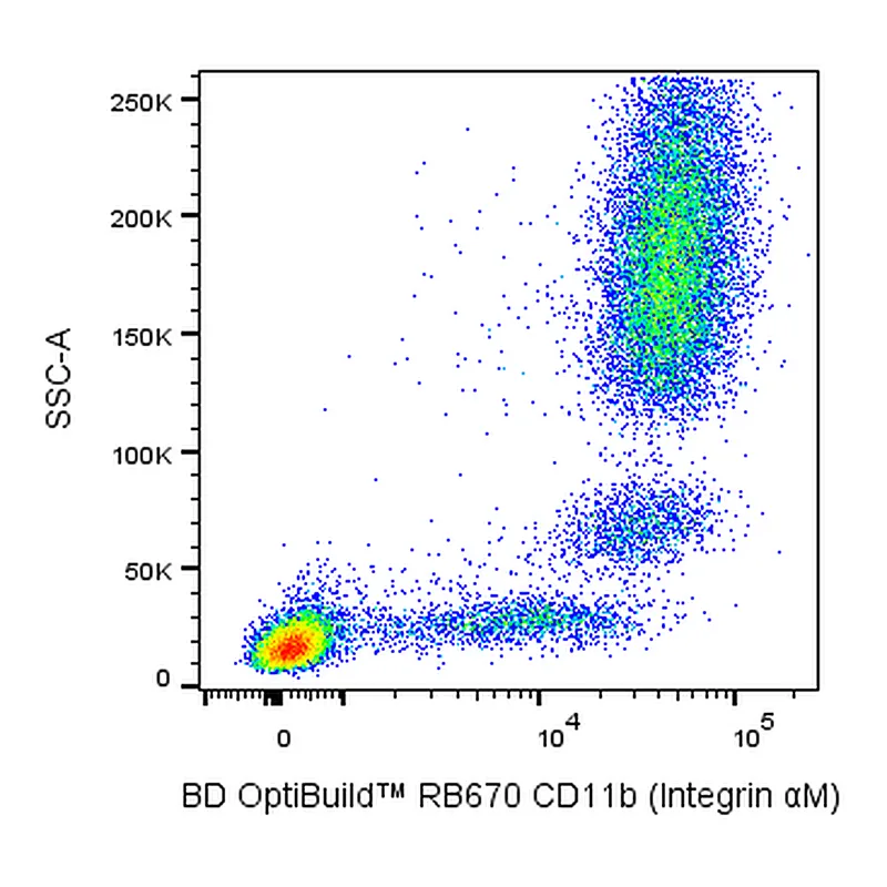 BD RB670 Mouse Anti-Human CD11b (Integrin αM)