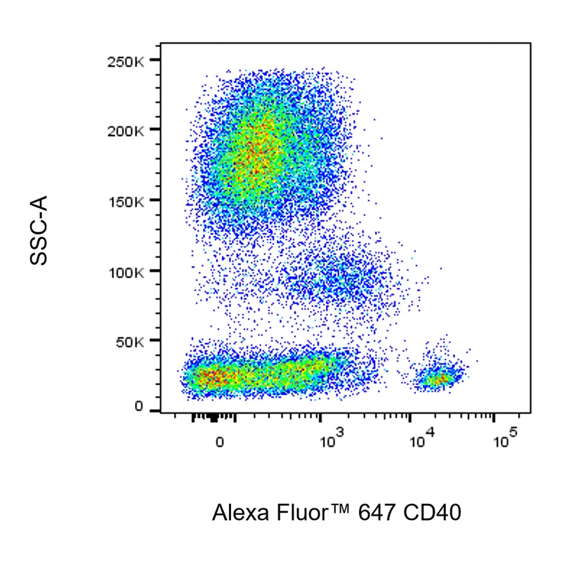 BD Alexa Fluor 647 Mouse Anti-Human CD40