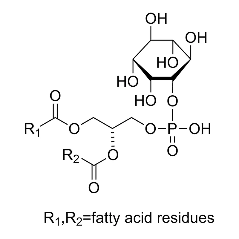 Merck L-alpha-Phosphatidylinositol from Glycine max (soybean)