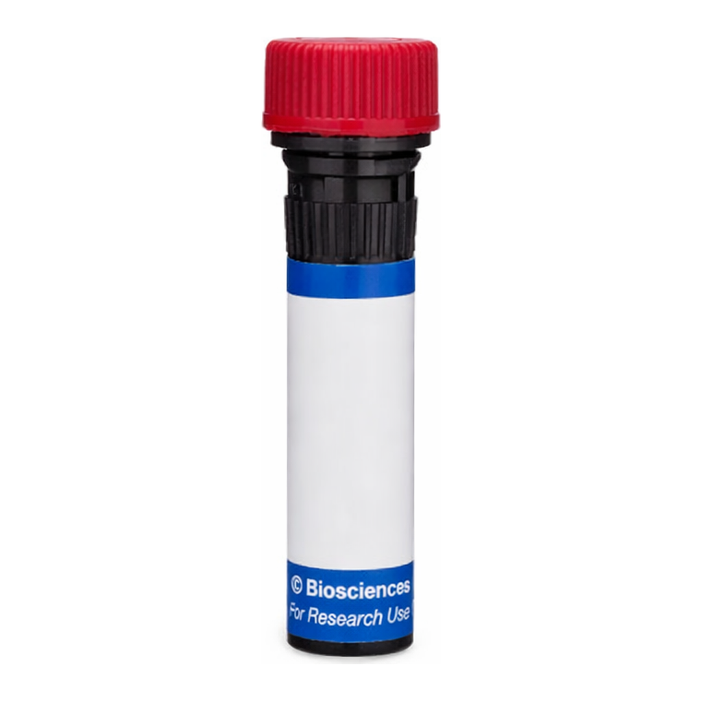 BD RB670 Mouse Anti-Human Desmoglein 2