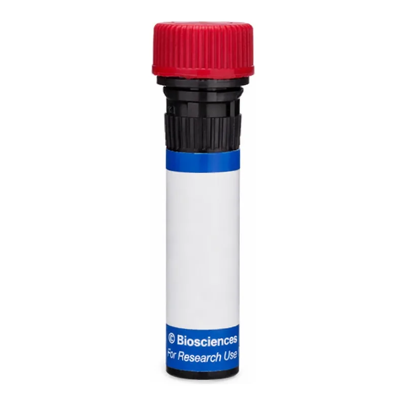BD RB670 Mouse Anti-Human Desmoglein 2