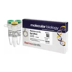 Thermo Fisher Scientific BpiI (BbsI) (10 U/μL), 200 units