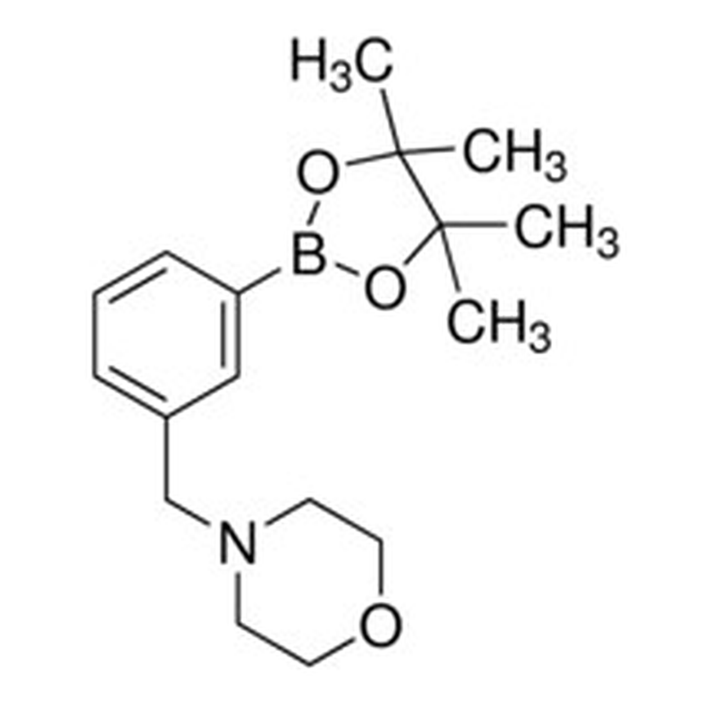 Merck 3-(4-MORPHOLINOMETHYL)PHENYLBORONIC ACI&