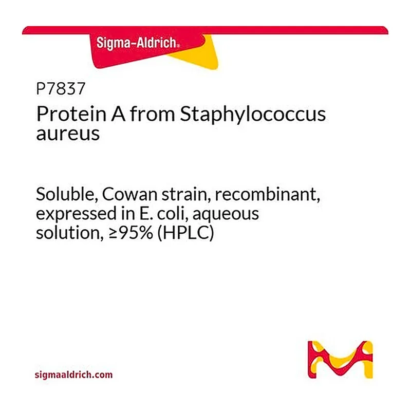 Merck Protein A from Staphylococcus aureus