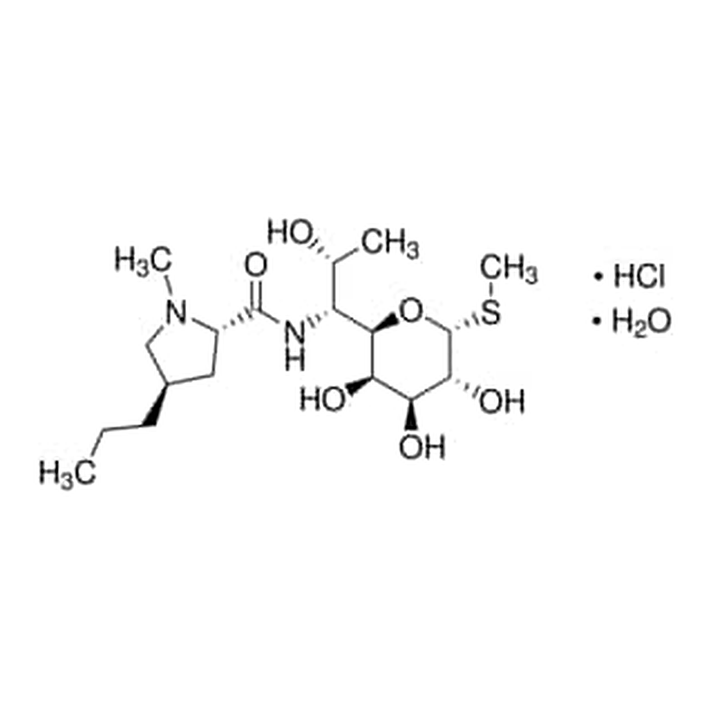Merck LINCOMYCIN HYDROCHLORIDE