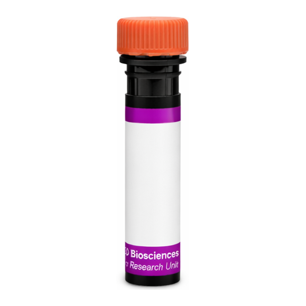 BD BV605 Mouse Anti-Human EGF Receptor