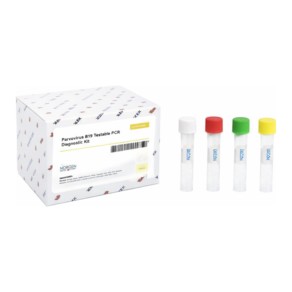 Norgen Parvo B19 TaqMan PCR Kit