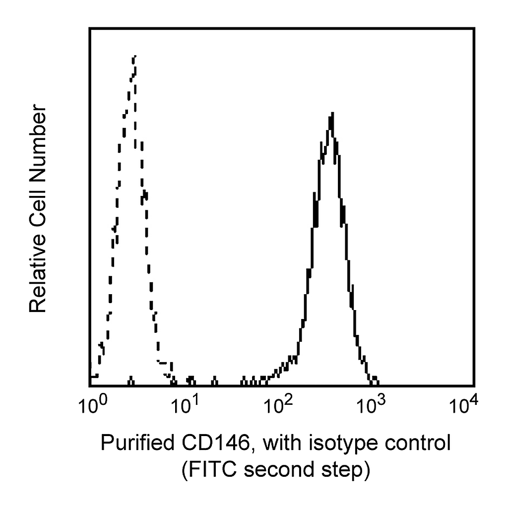 BD Purified Mouse Anti-Human CD146