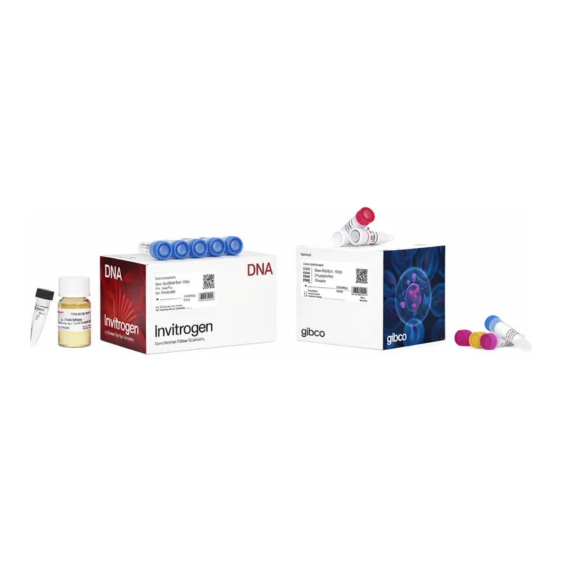 Thermo Fisher Scientific Bac-to-Bac HBM TOPO Cloning Kit