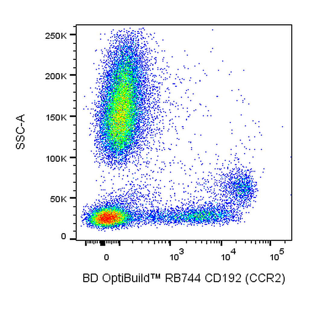 BD RB744 Mouse Anti-Human CD192 (CCR2)