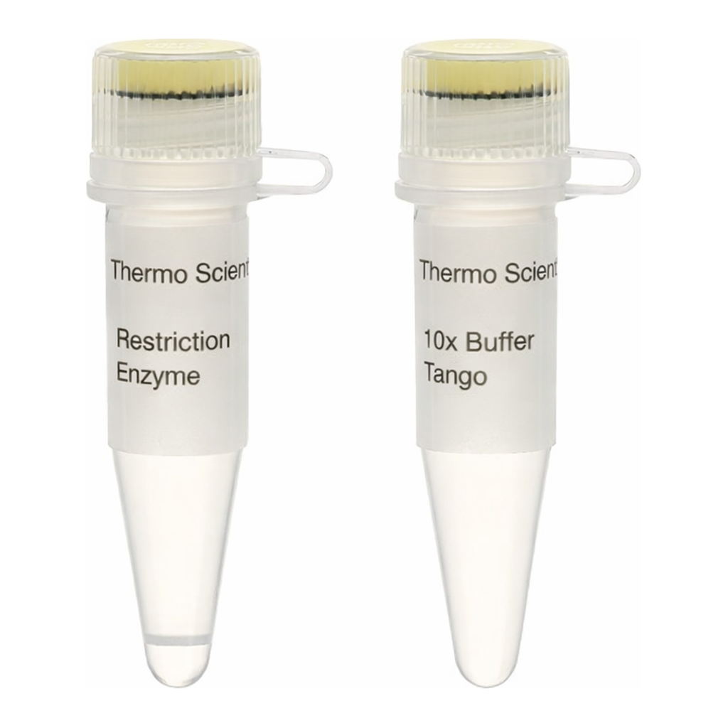 Thermo Fisher Scientific Bpu1102I (BlpI) (10 U/&mu;L), 200 units