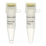 Thermo Fisher Scientific Bpu1102I (BlpI) (10 U/μL), 200 units